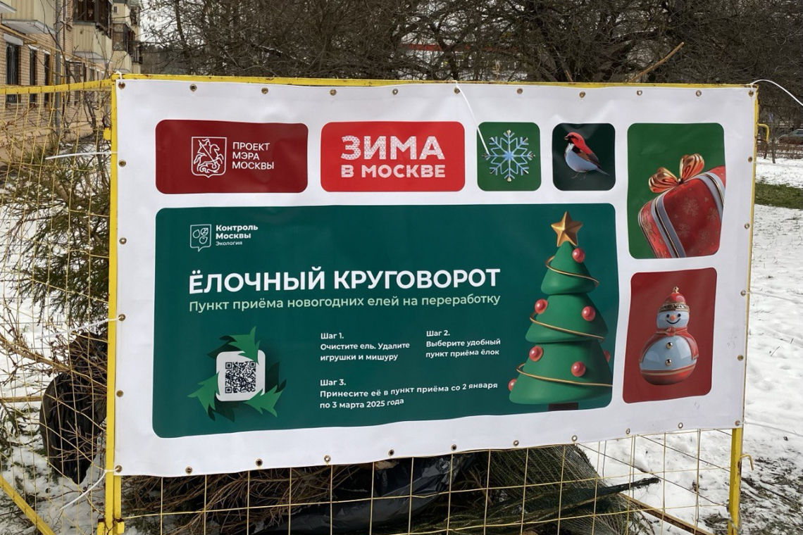 В Москве проходит традиционная акция по сбору и переработке новогодних елей "Елочный круговорот"